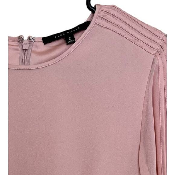 Alex Marie | Pale Pink Pleated Chiffon Sheer Sleeve Dress Size 2 Coquette - Picture 3 of 9